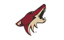 coyotes-charities